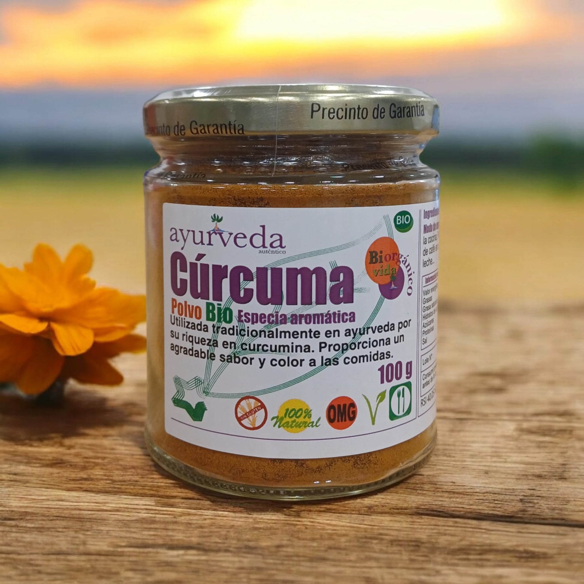 CÚRCUMA POLVO ECO 100gr-AYURVEDA